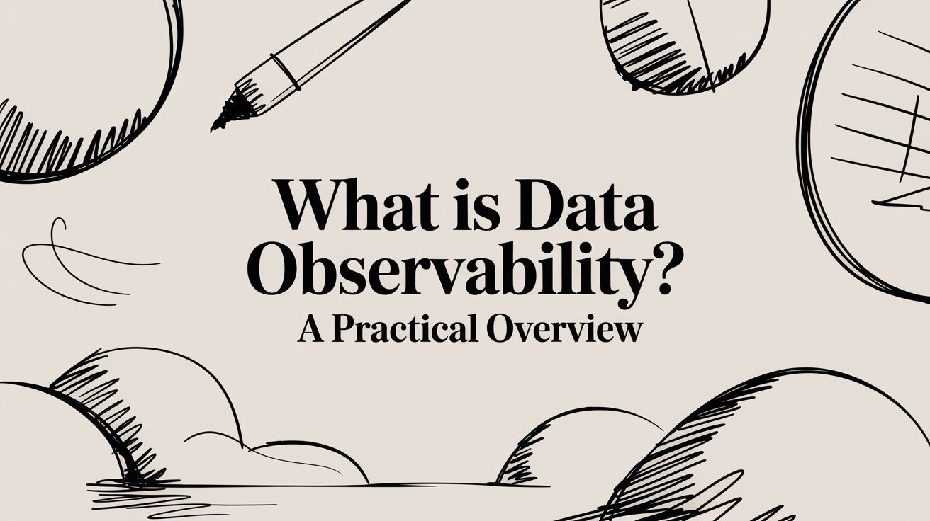 Image for What is data observability? A Practical Guide to Better Data Outcomes